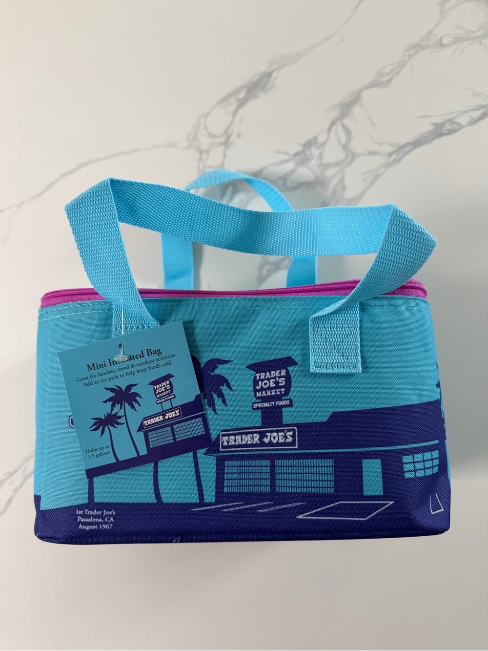 Trader Joe's Turquoise & Navy Mini Insulated Bag